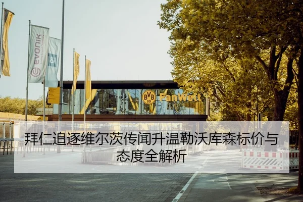 拜仁追逐维尔茨传闻升温勒沃库森标价与态度全解析